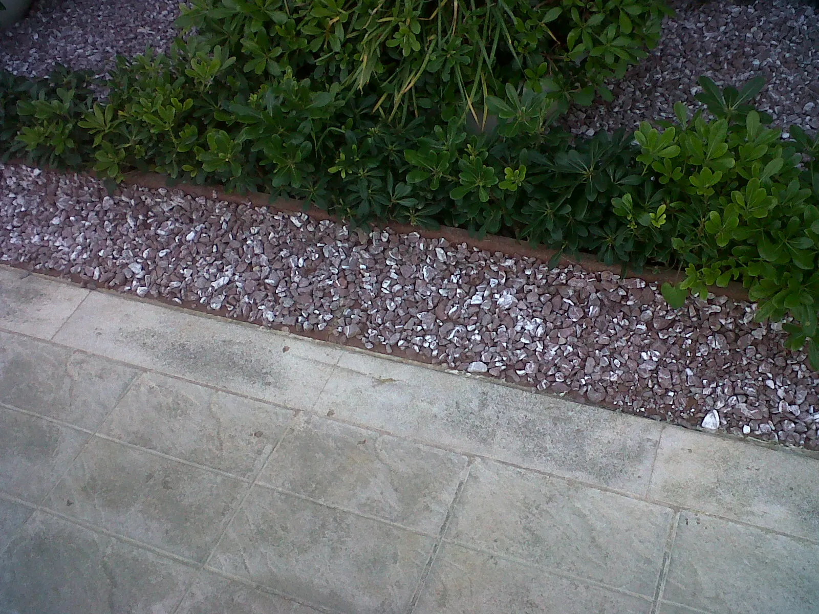 Planter — photo 1