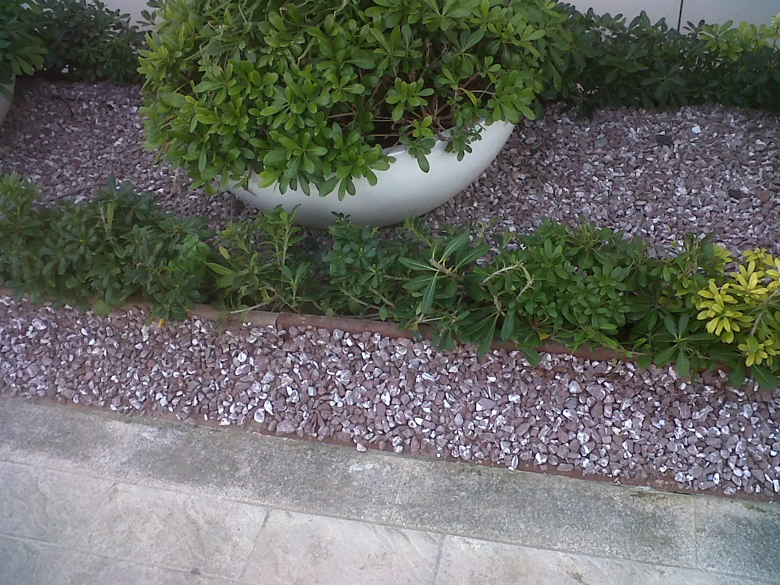 Planter — photo 3