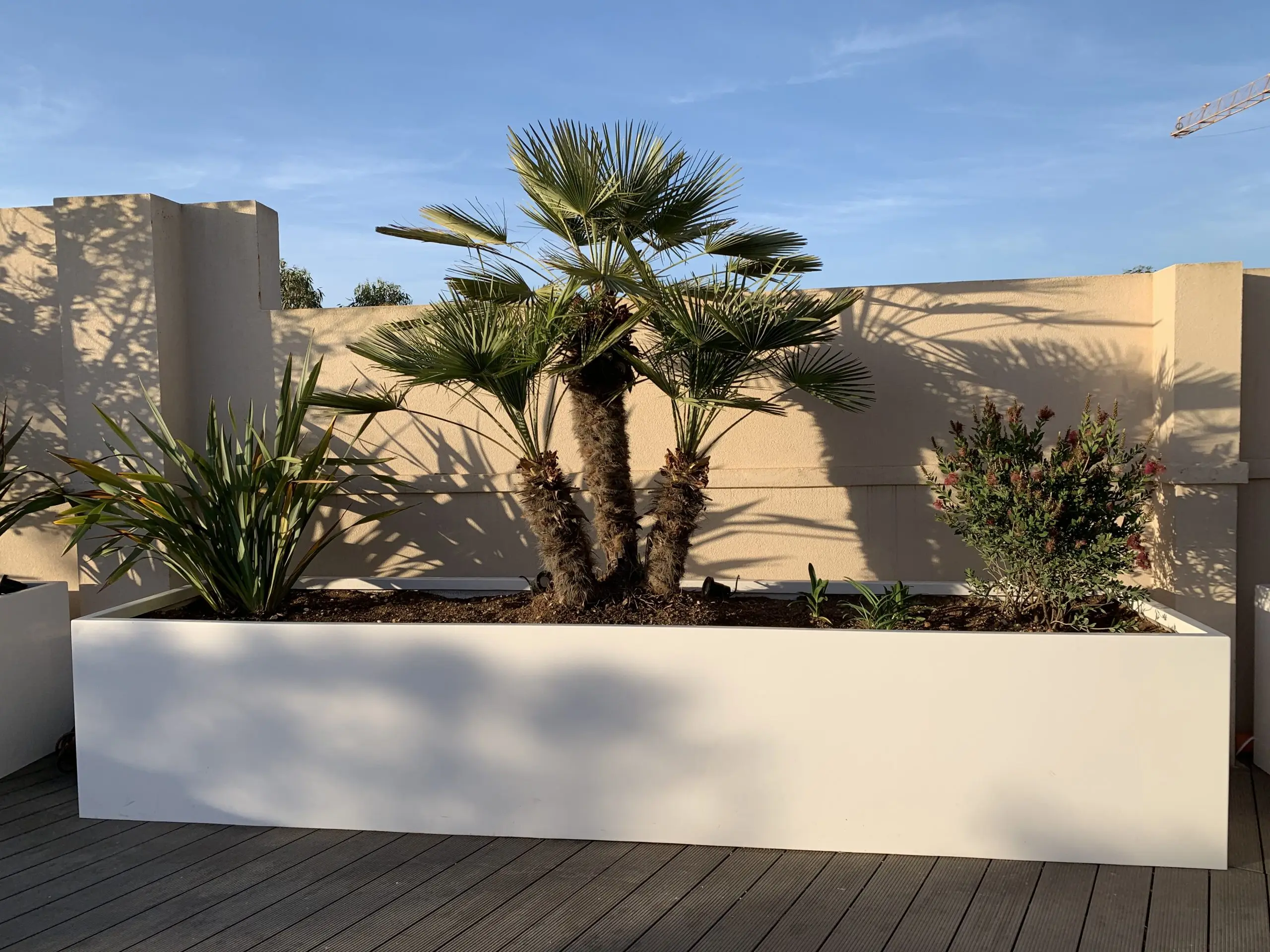 Planter / Trough — photo 3