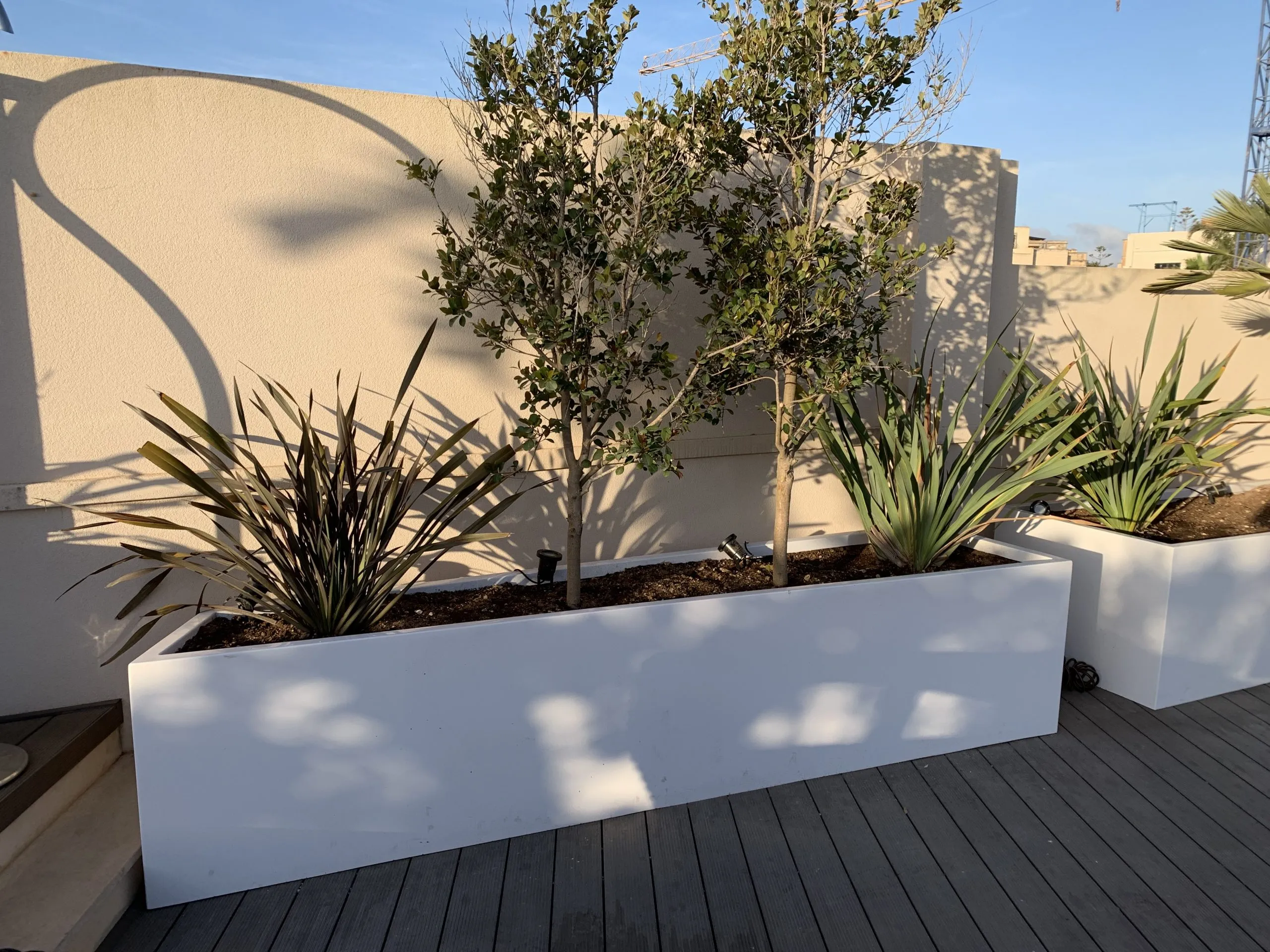Planter / Trough — photo 5