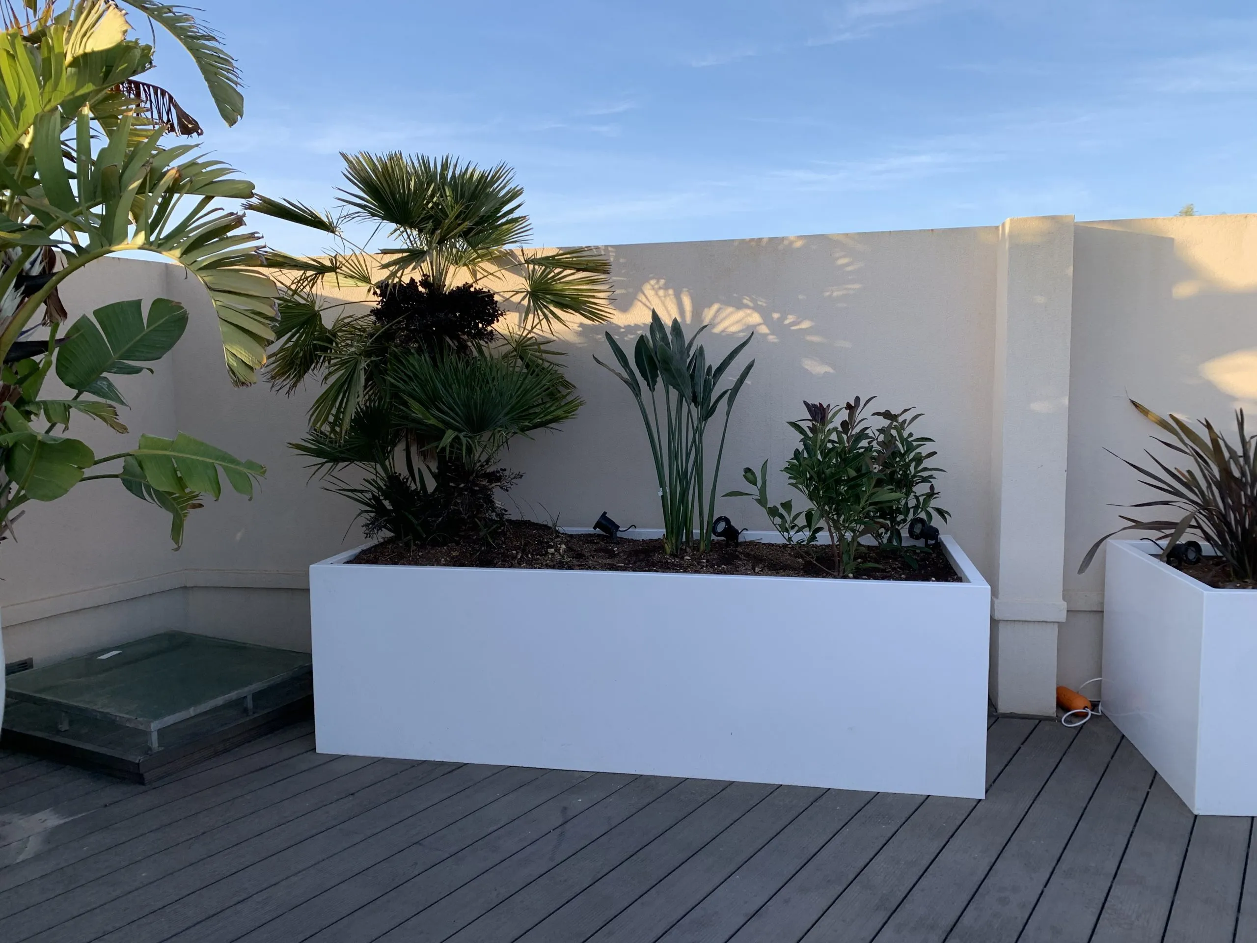 Planter / Trough — photo 4